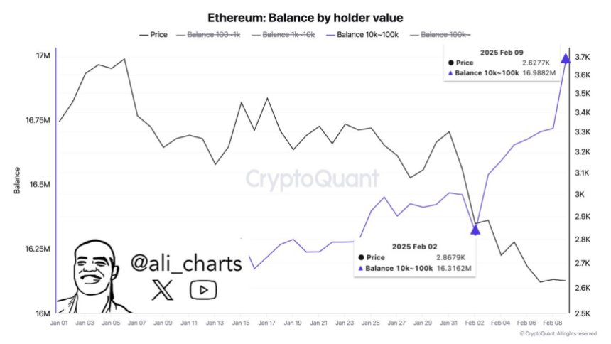 Ethereum whales buy 600,000 ETH in a week | Source: Ali Martinez on X