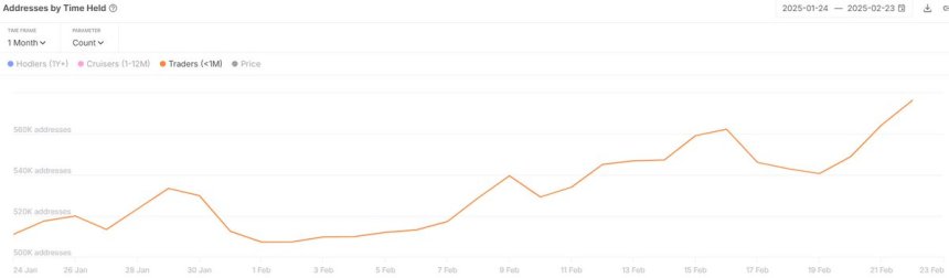 LTC Addresses by Time Held | Source: IntoTheBlock on X