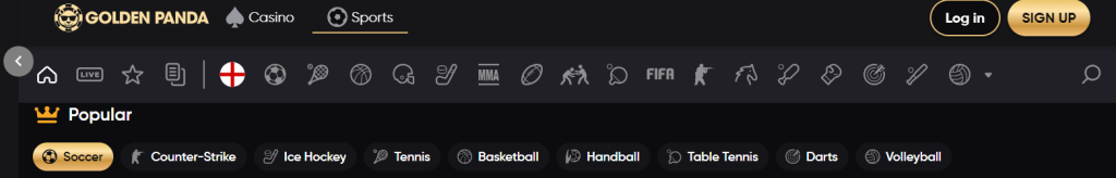 Nabídka sázkových trhů na Golden Panda