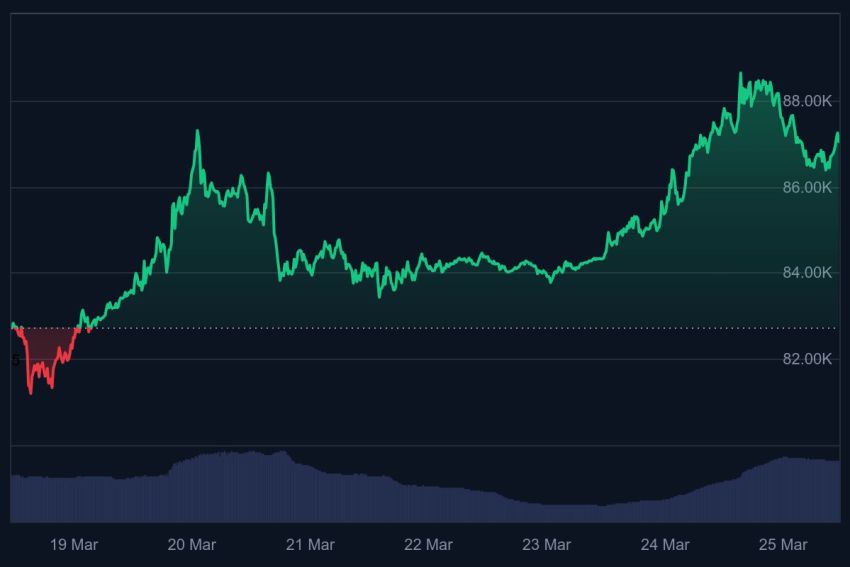 bitcoin bull run