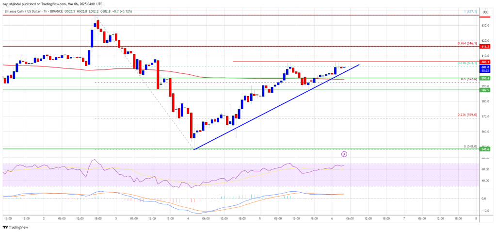 BNB Price