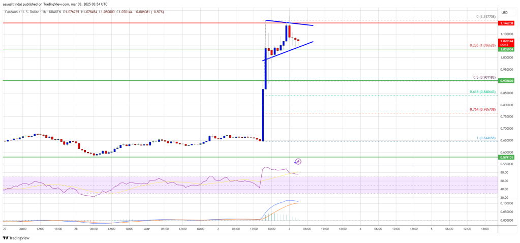 Cardano Price