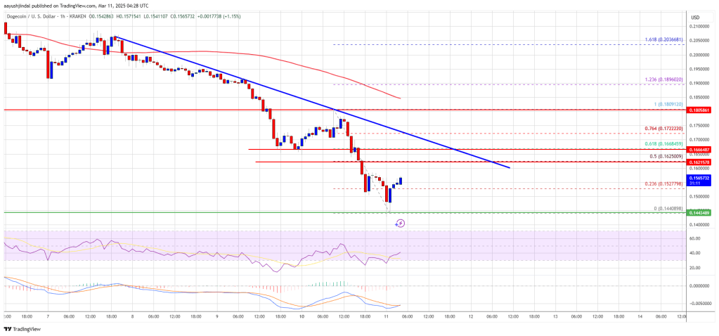 Dogecoin Price 