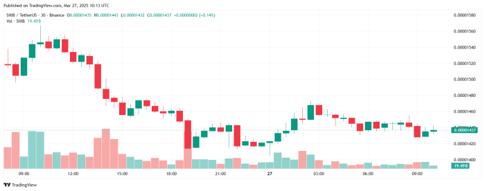 Panoramica del prezzo di Shiba Inu - Fonte TradingView