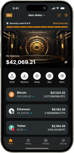 Programske denarnice (vroče denarnice) – prednosti in slabosti