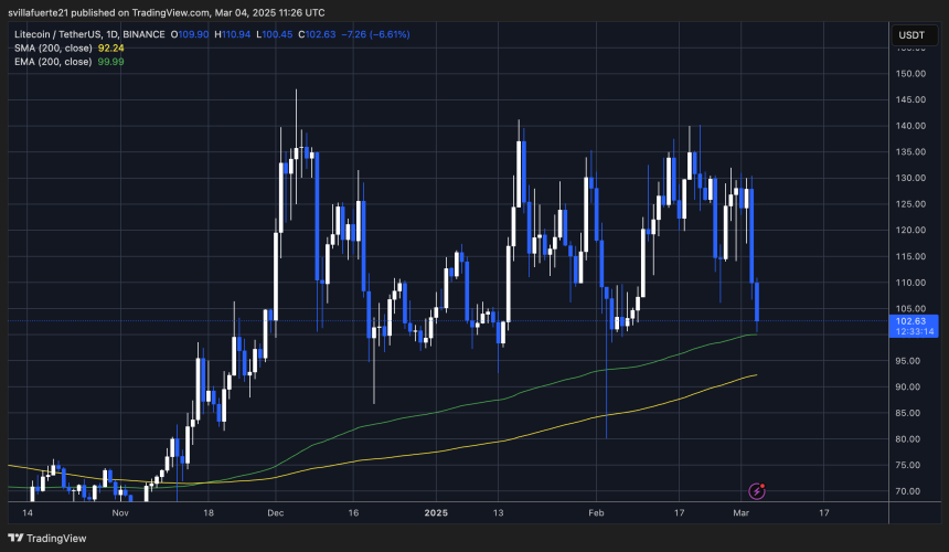 LTC Testing crucial demand around $100 | Source: LTCUSDT chart on TradingView