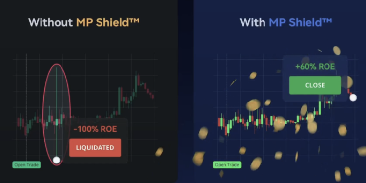 Margex MP Shield security system