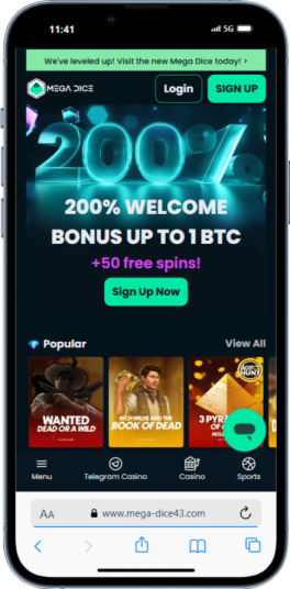 The Mega Dice homepage on mobile