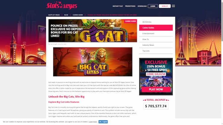 screenshot of Slots of Vegas no deposit bonus for Big Cat Links Slots