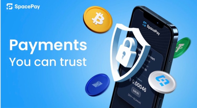 SpacePay's Innovative Approach and 0.5% Transaction Fee