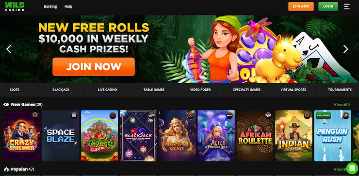 Home page for fastest payout casino Wild Casino