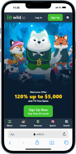 The Wild.io homepage on mobile