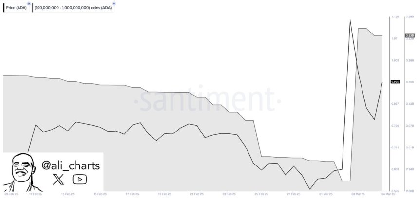 Cardano whales bought 420M ADA since Sunday | Source: Ali Martinez on X 