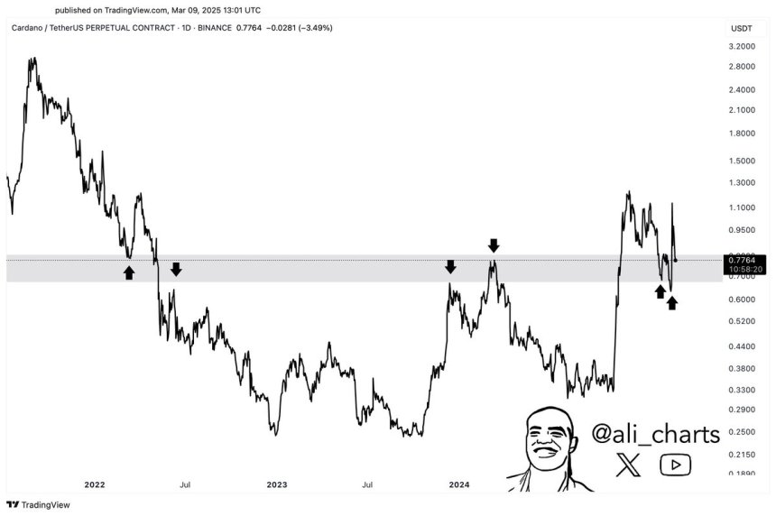 Cardano testing crucial level | Source: Ali Martinez on X