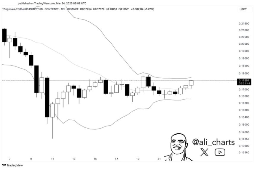 Dogecoin Bollinger Bands tighten | Source: Ali Martinez on X