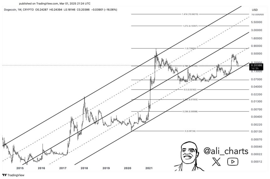 Dogecoin testing high time frame demand | Source: Ali Martinez on X