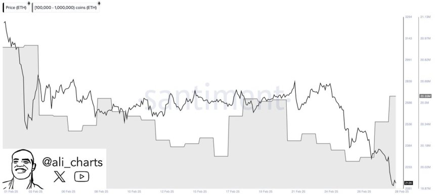 Ethereum Whales Bought 190,000 ETH in 24H | Source: Ali Martinez on X