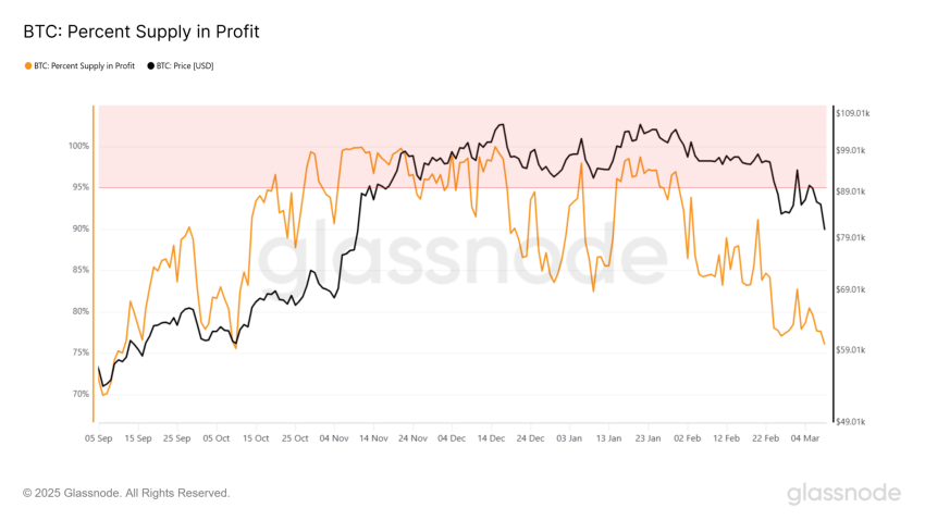Bitcoin percentage voorraad in winst