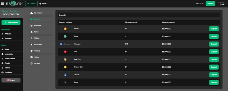 sirwin casino review deposit options screenshot