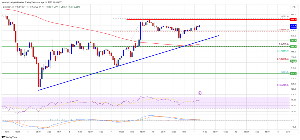 BNB Price