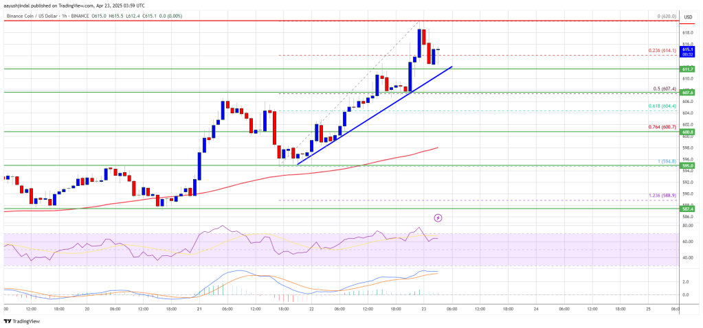 BNB Price