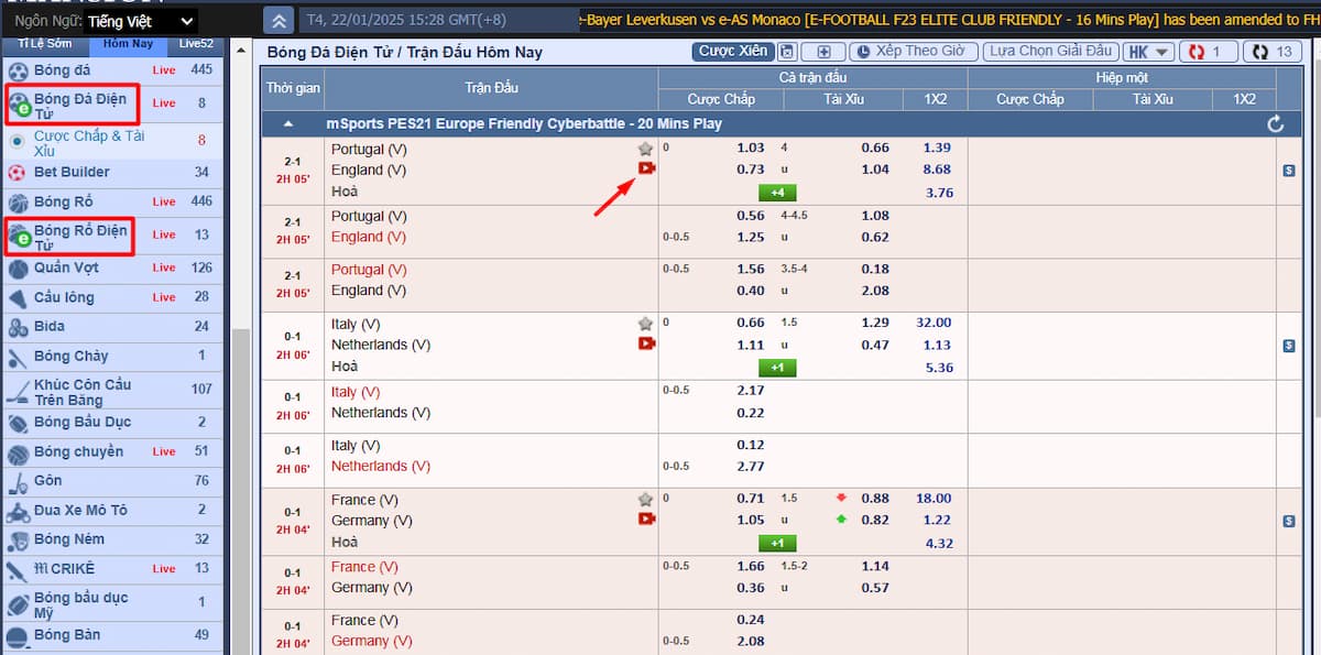 Cá cược thể thao ảo như thế nào