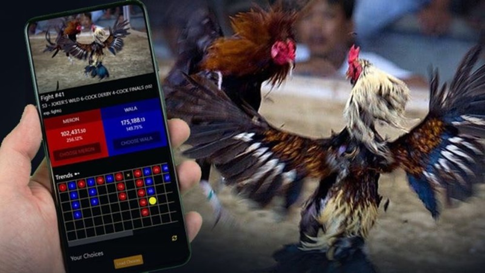 Cần chọn thời điểm xuống tiền cá cược đá gà hợp lý