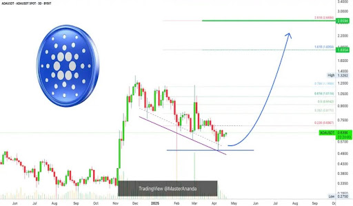 Cardano