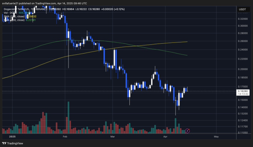 DOGE testing daily supply levels | Source: DOGEUSDT chart on Trading View