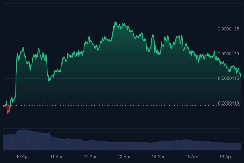 nieuwe crypto, crypto meme, crypto rally