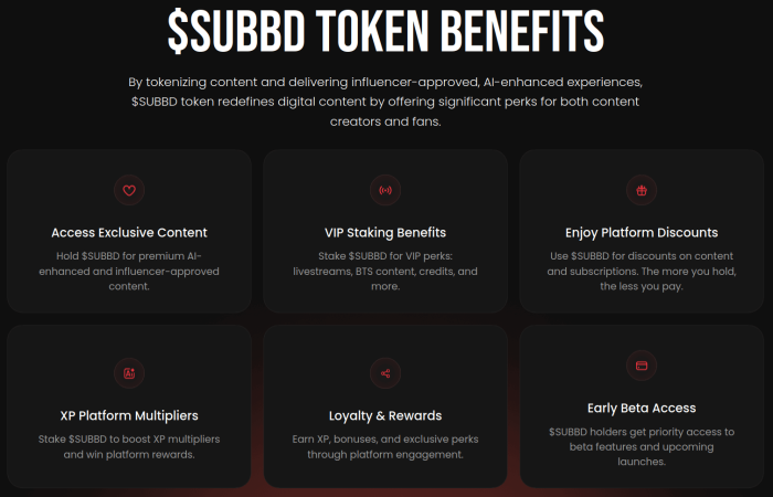 $SUBBD Token’s main holder benefits for investors
