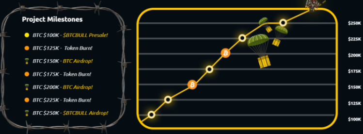 BTC Bull Token burn