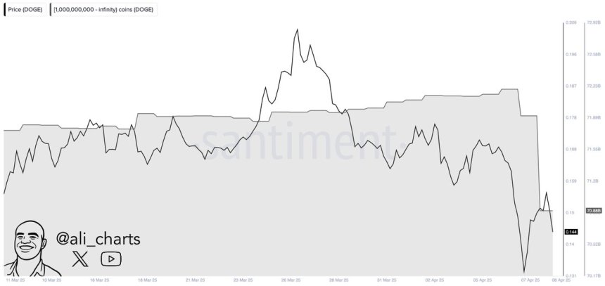 Las ballenas de Dogecoin descargan 1.32B DOGE en 48H | Fuente: Ali Martinez en X
