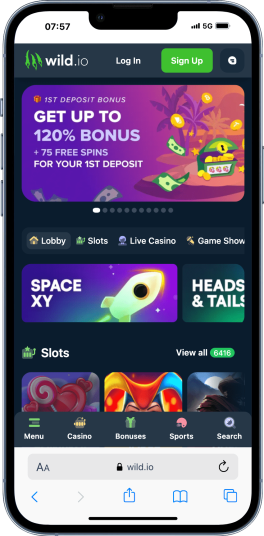 wild.io casino india