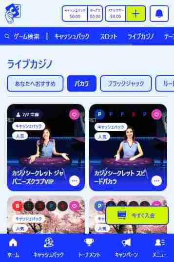 オンラインカジノバカラおすすめのカジノシークレット