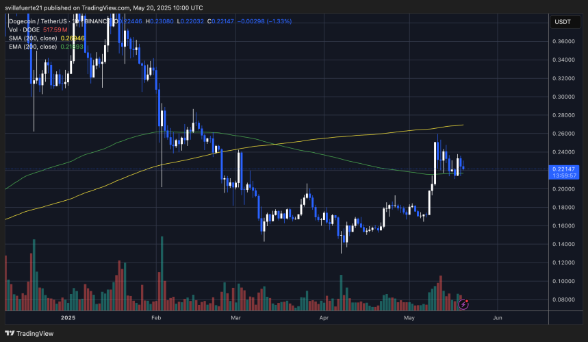 DOGE se consolida por encima de la EMA de 200 días | Fuente: gráfico DOGEUSDT en TradingView