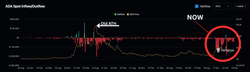 XRP