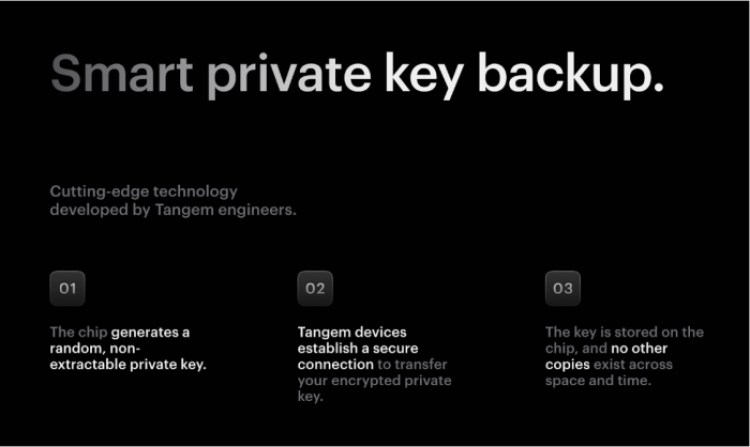 Tangem Wallet private key backup