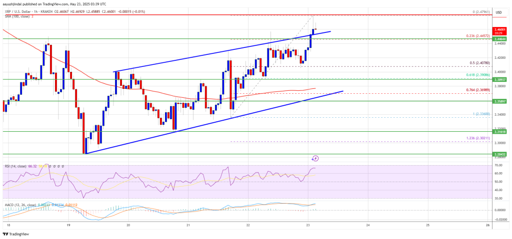 XRP Price