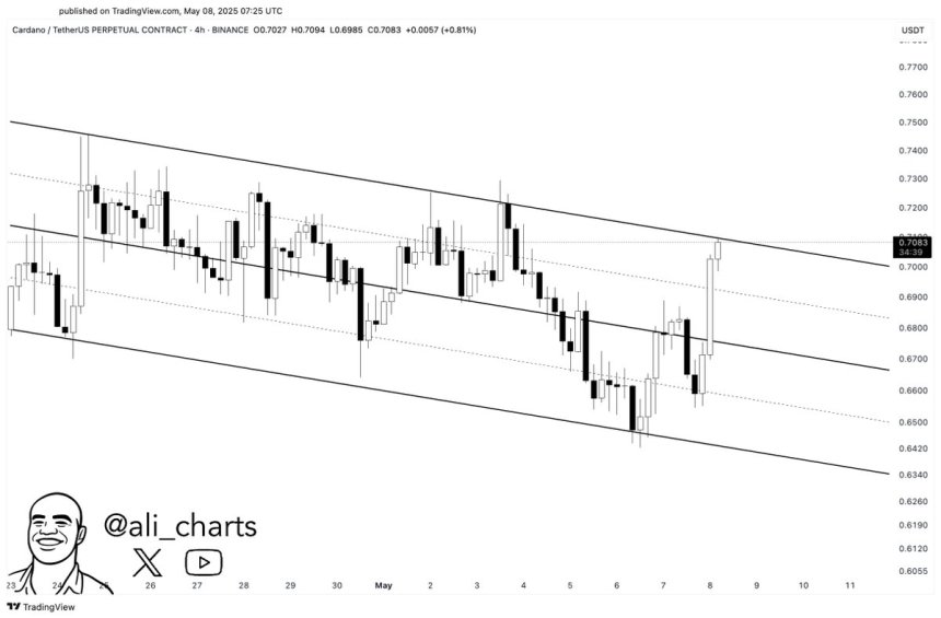 Cardano testing the upper boundary resistance of this channel | Source: Ali Martinez on X