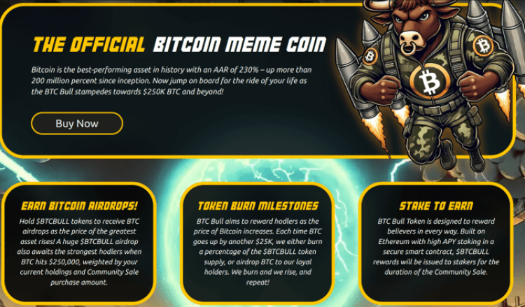 BTC Bull Token info