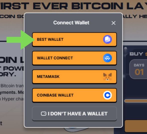connect best wallet