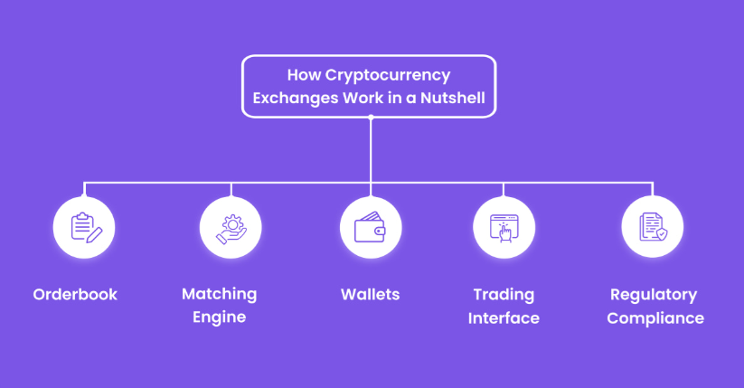 Jak funguje kryptoměnová burza.