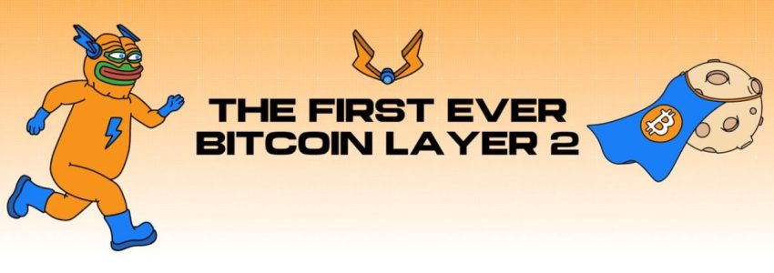 ada, cardano koers, waarom stijgt cardano 