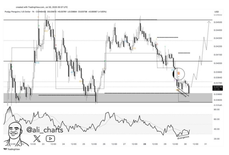 Publicación de @ali_charts en X sobre el análisis de $PENGU en TradingView, mostrando la zona de soporte