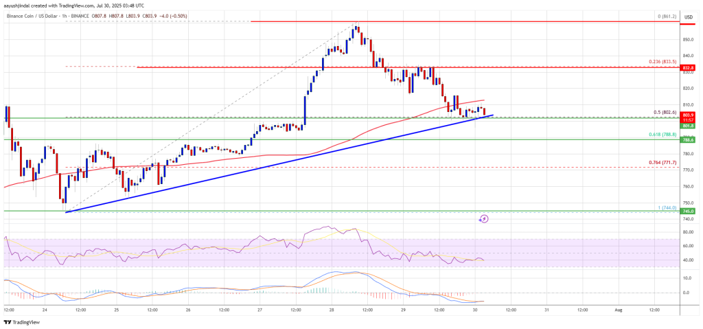 BNB Price