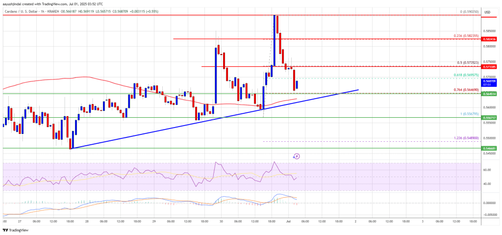 Cardano Price