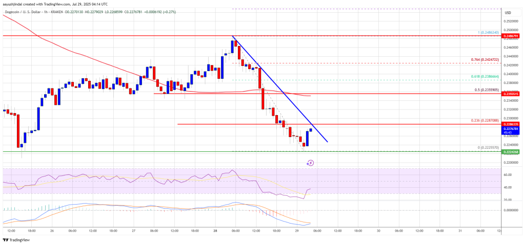 Dogecoin Price