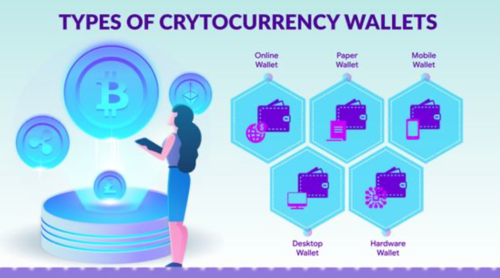 Typy krypto peněženek.