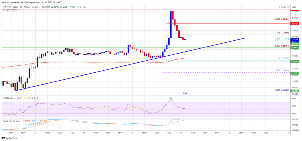 XRP Price 